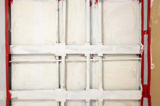 Best Post-Construction Mold Inspection  in Keewatin, MN