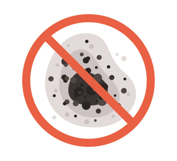 Professional Mold Removal in Keewatin, MN