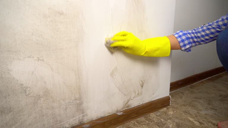 Environmental Consulting for Mold Prevention in Keewatin, MN