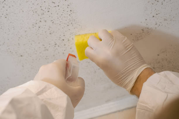Best Indoor Air Quality Assessment  in Keewatin, MN