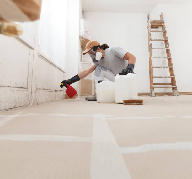 Best Asbestos and Lead Testing During Mold Inspection  in Keewatin, MN